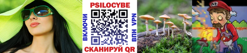 Галлюциногенные грибы Psilocybe  как найти закладки  Кизилюрт 