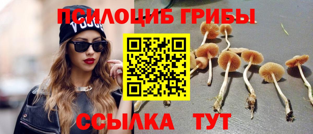 Галлюциногенные грибы мухоморы Кизилюрт