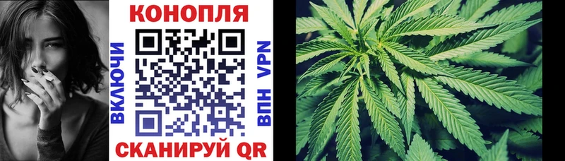 купить наркотики сайты  мега ONION  Конопля сатива  Кизилюрт 
